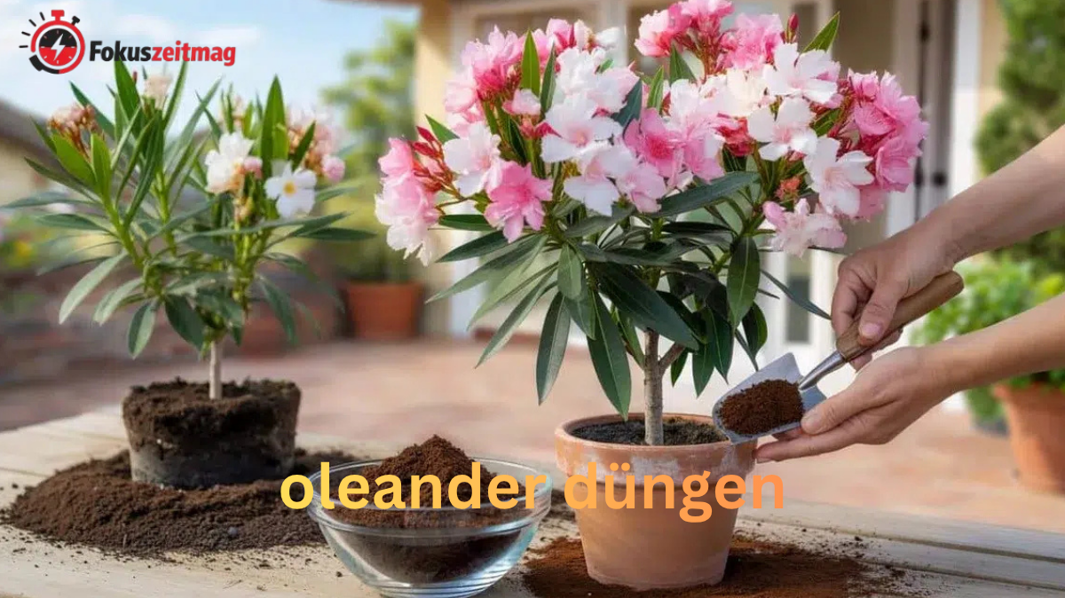 nft oleander düngen
