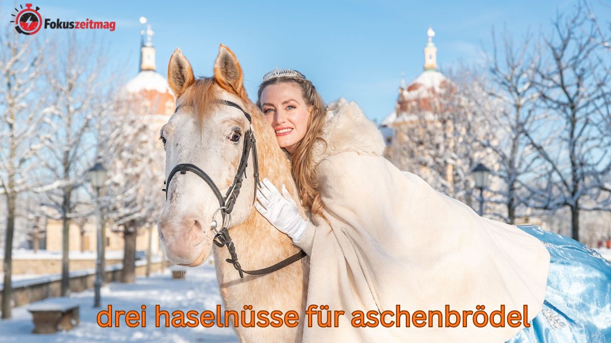 poor things stream drei haselnüsse für aschenbrödel